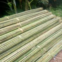 金竹，长期出售，有各种规格