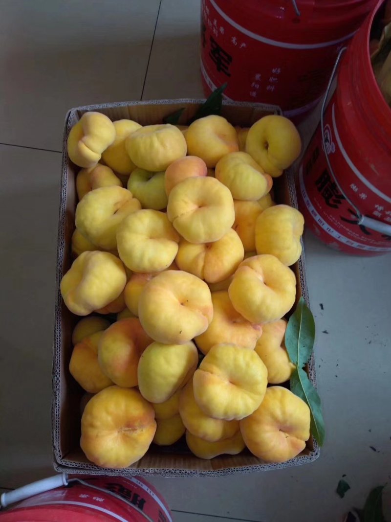 黄金蟠桃