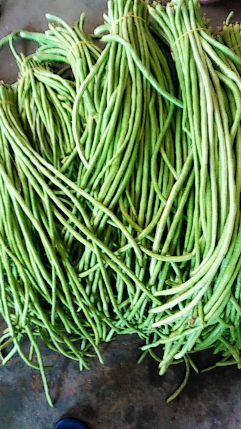 腌缸豆