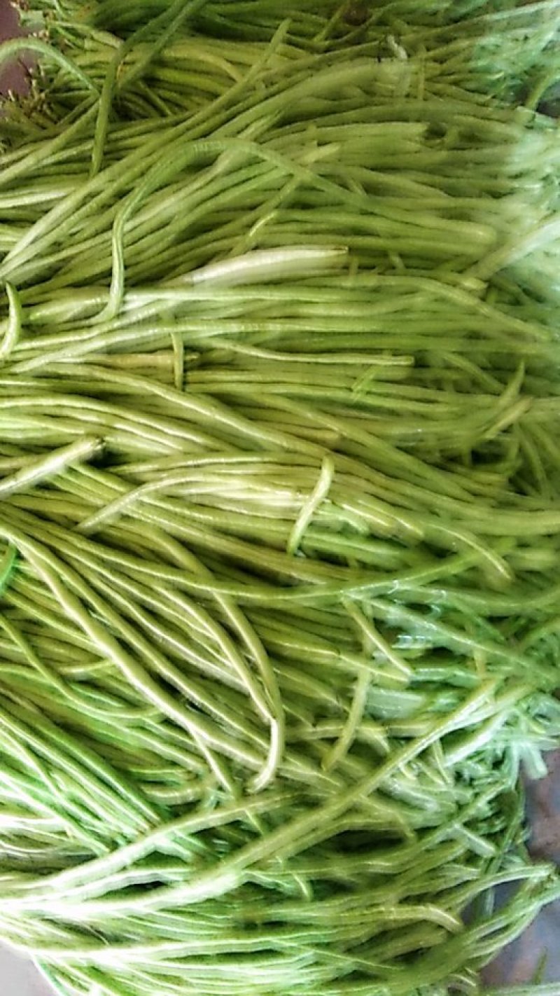 腌缸豆
