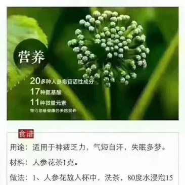 人参花茶