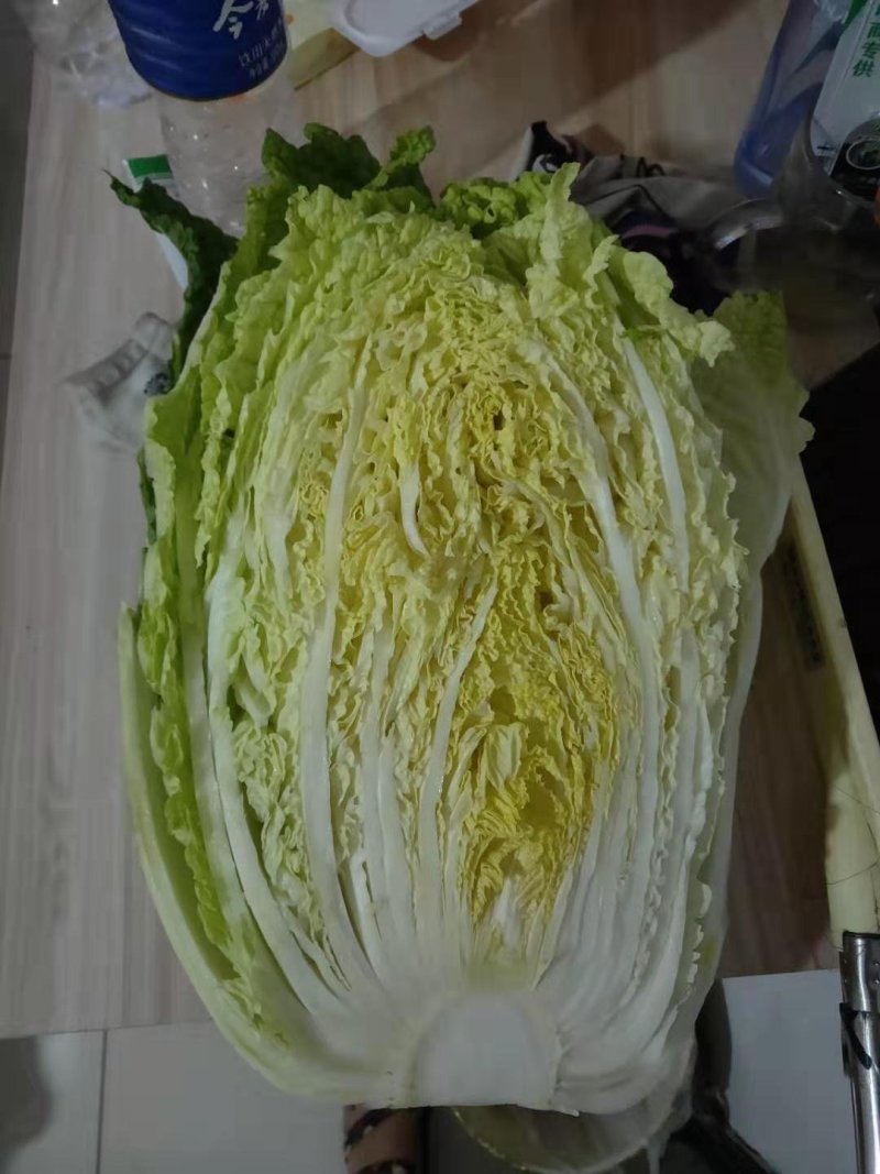 沽源大量蔬菜上市，白菜豆角各种蔬菜