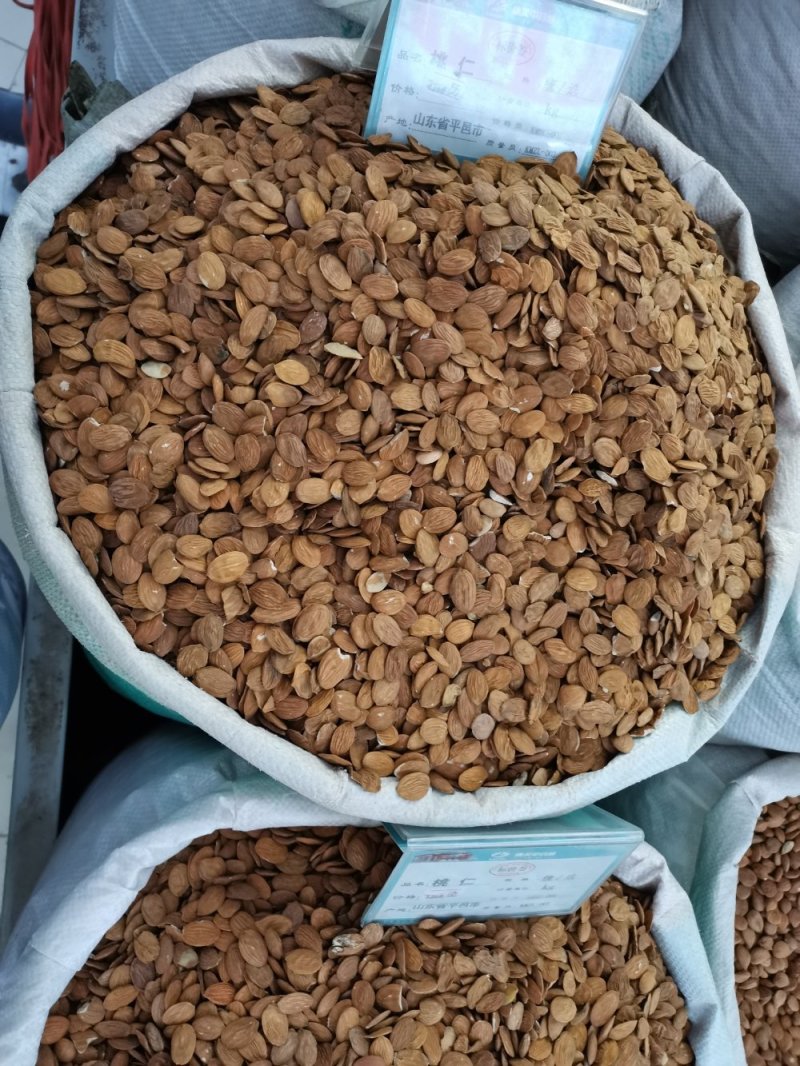 桃仁中药材桃仁批发一手货源