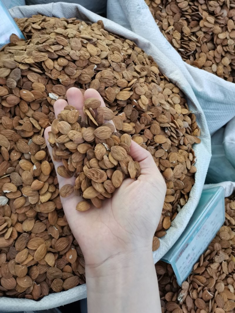 桃仁中药材桃仁批发一手货源