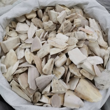 海螵蛸中药材海螵蛸批发一手货源