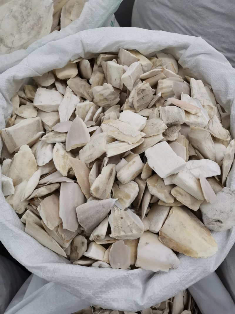 海螵蛸中药材海螵蛸批发一手货源