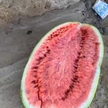 宁夏硒砂瓜就是甜就是甜耐运输