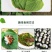特菜，蔬菜，中药材，紫苏，新鲜，一件代发