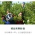 贵州三山谷原生态山茶油