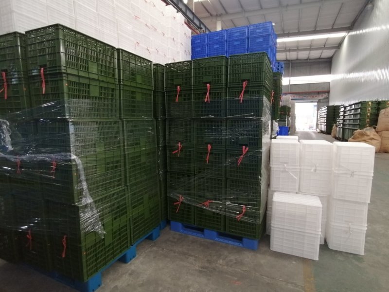 周转框大量出售，各种规格供选，欢迎咨询订购