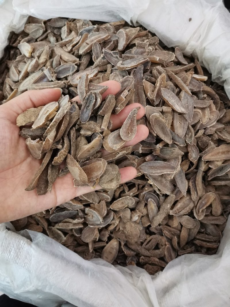 郁金中药材郁金地道无硫大货批发