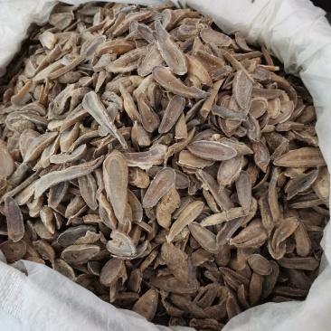 郁金中药材郁金地道无硫大货批发