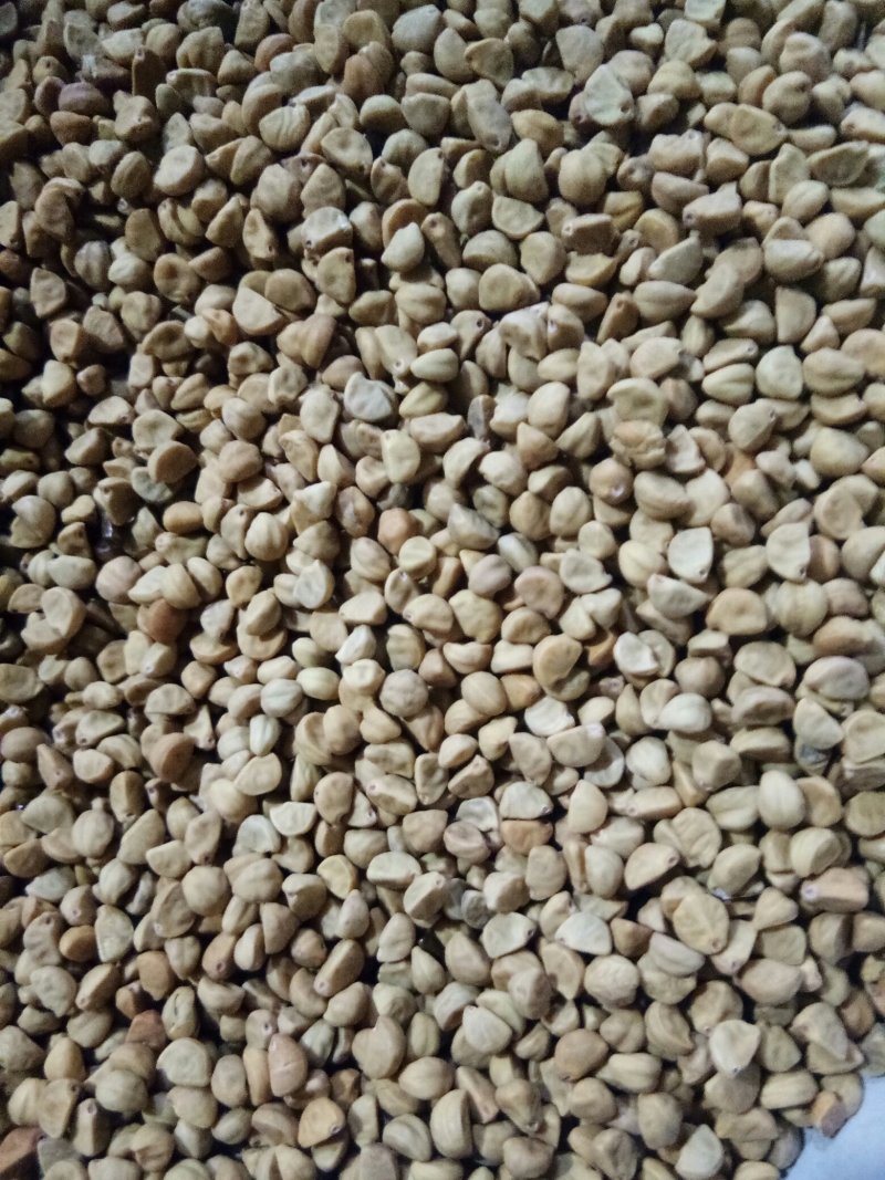 牵牛子黑丑白丑两种药用颗粒饱满无杂质一公斤起