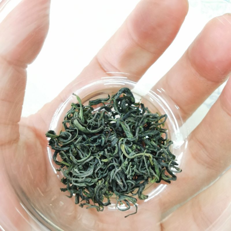 高山云雾绿茶雨前口粮茶安徽黄山名优绿茶