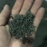 高山云雾绿茶雨前口粮茶安徽黄山名优绿茶