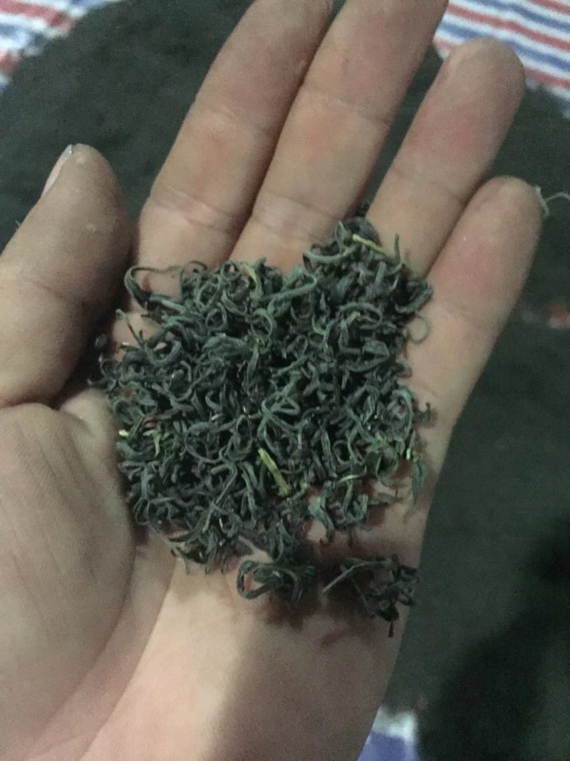 高山云雾绿茶雨前口粮茶安徽黄山名优绿茶