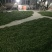 高山云雾绿茶雨前口粮茶安徽黄山名优绿茶