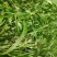 无硫非水洗糯薏仁米新米（小白壳糯薏仁）上市预定开始了。