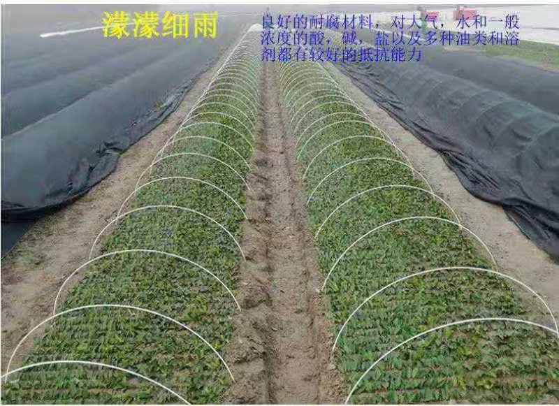 保温棚杆玻璃纤维杆，拱棚杆玻纤杆小拱棚杆果苗定值
