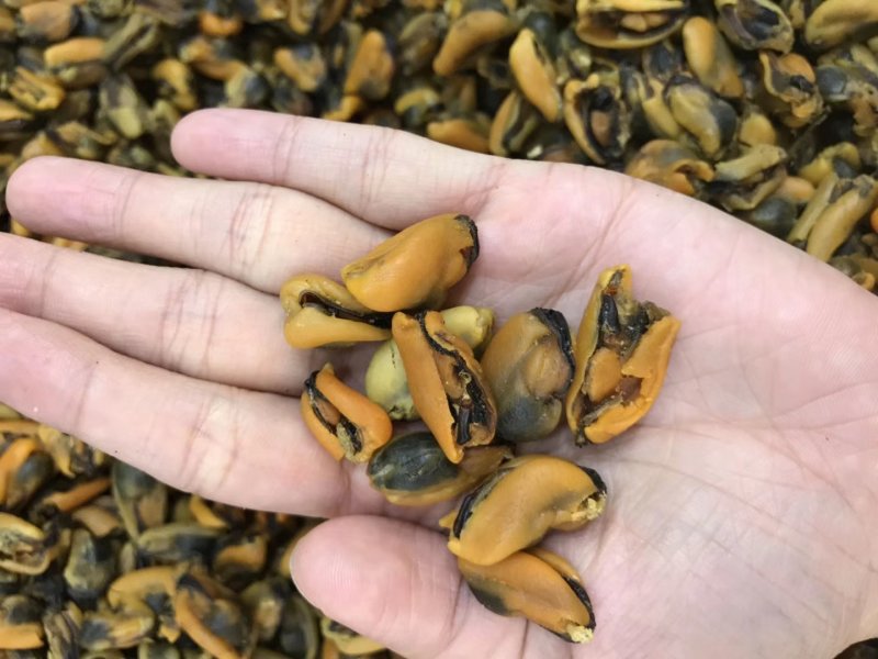 淡菜干货特级500g海产品海虹干海货干货海鲜干货海虹肉