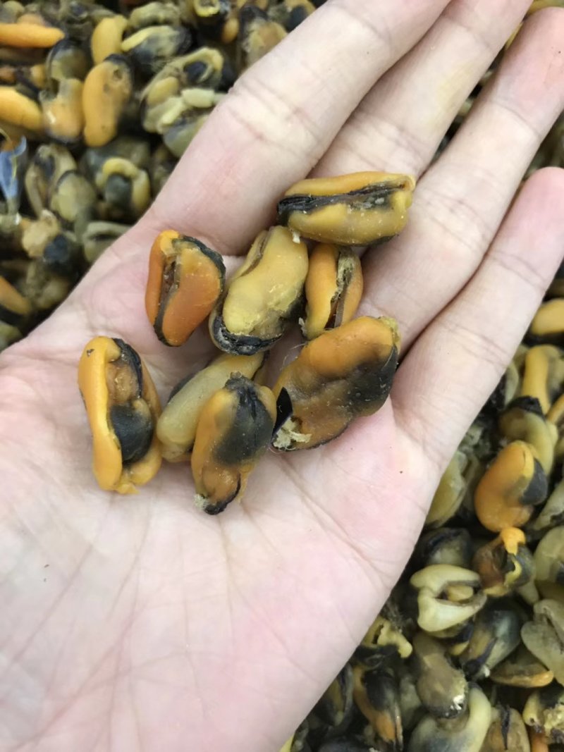 淡菜干货特级500g海产品海虹干海货干货海鲜干货海虹肉