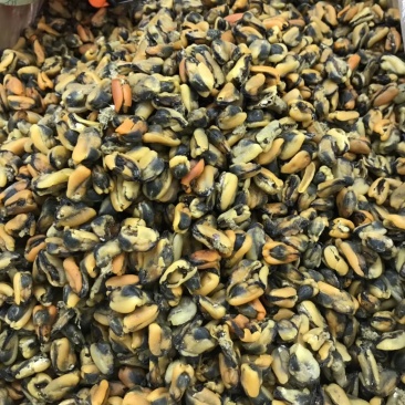 淡菜干货特级500g海产品海虹干海货干货海鲜干货海虹肉