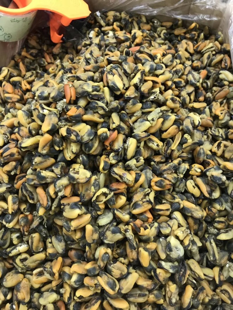 淡菜干货特级500g海产品海虹干海货干货海鲜干货海虹肉