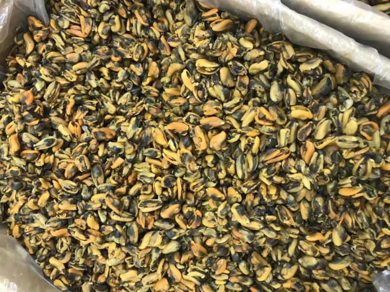 淡菜干货特级500g海产品海虹干海货干货海鲜干货海虹肉