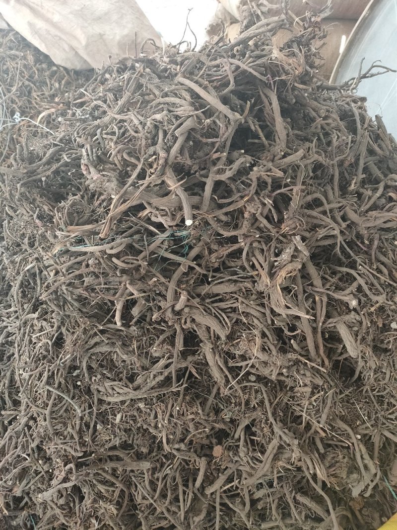野生赤芍统货