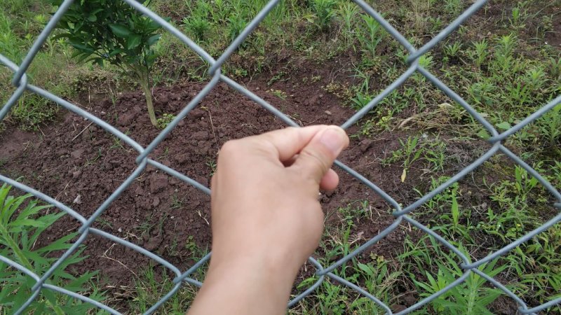 热镀锌圈地围栏网圈牛羊猪网镀锌勾花网铁丝网护栏网隔离网