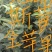 维纳斯苹果树苗0.8至一公分的