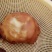 岀售鸡宝