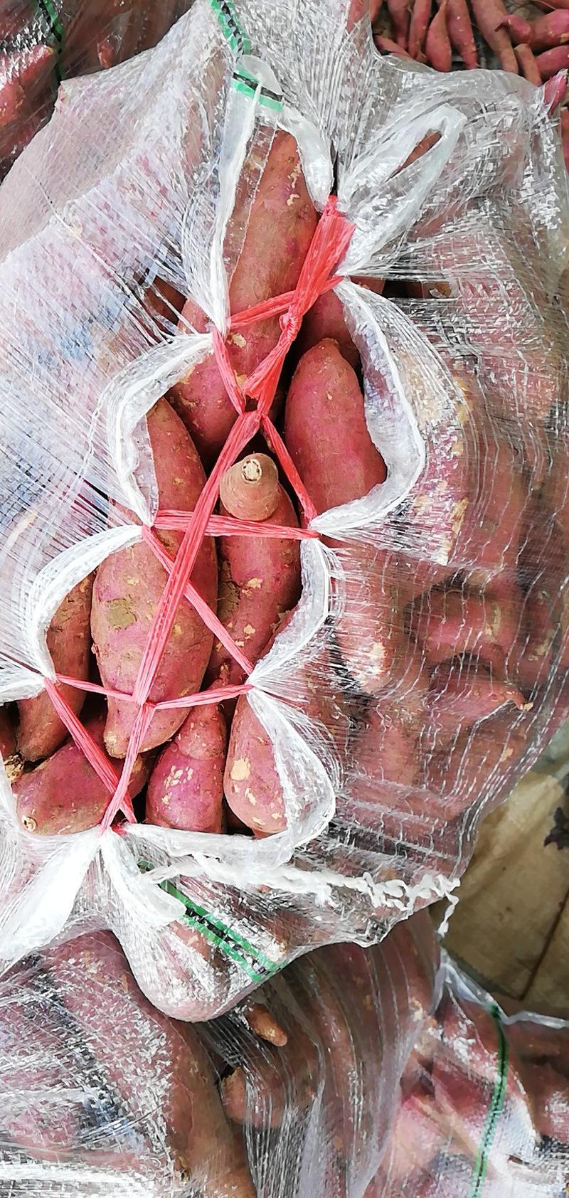 湖北西瓜红红薯优惠口感软糯大量供应欢迎来电咨询合作