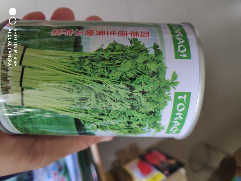 芹菜种子四季速生黄嫩小芹菜种子