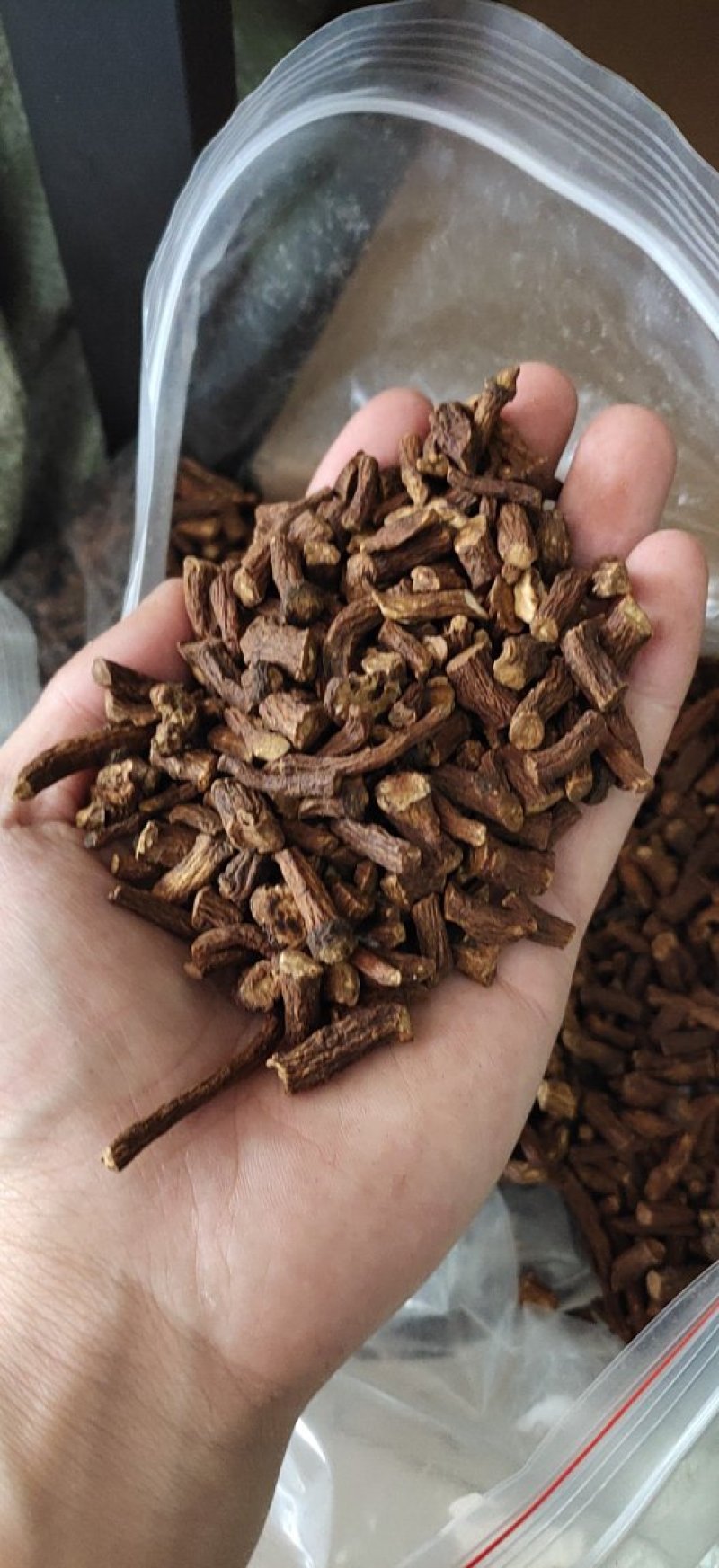 蒲公英根茶长白山野货熟茶纯野生瓶装包邮