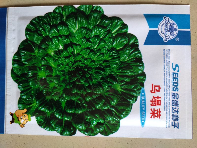 耐寒塌菜种子黑心乌乌塌菜种子