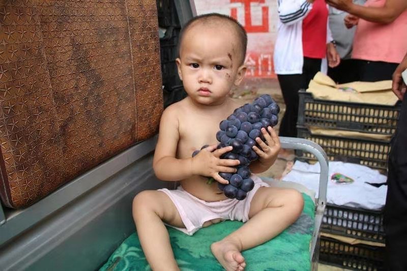 巨峰，京亚，红无核。青无核。乒乓球夏黑都已上市。需要的朋