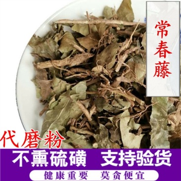 常春藤供应上千种中药材