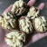 大优黑桃