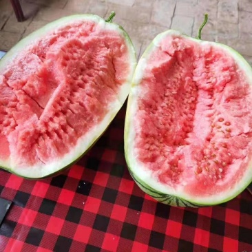 西瓜