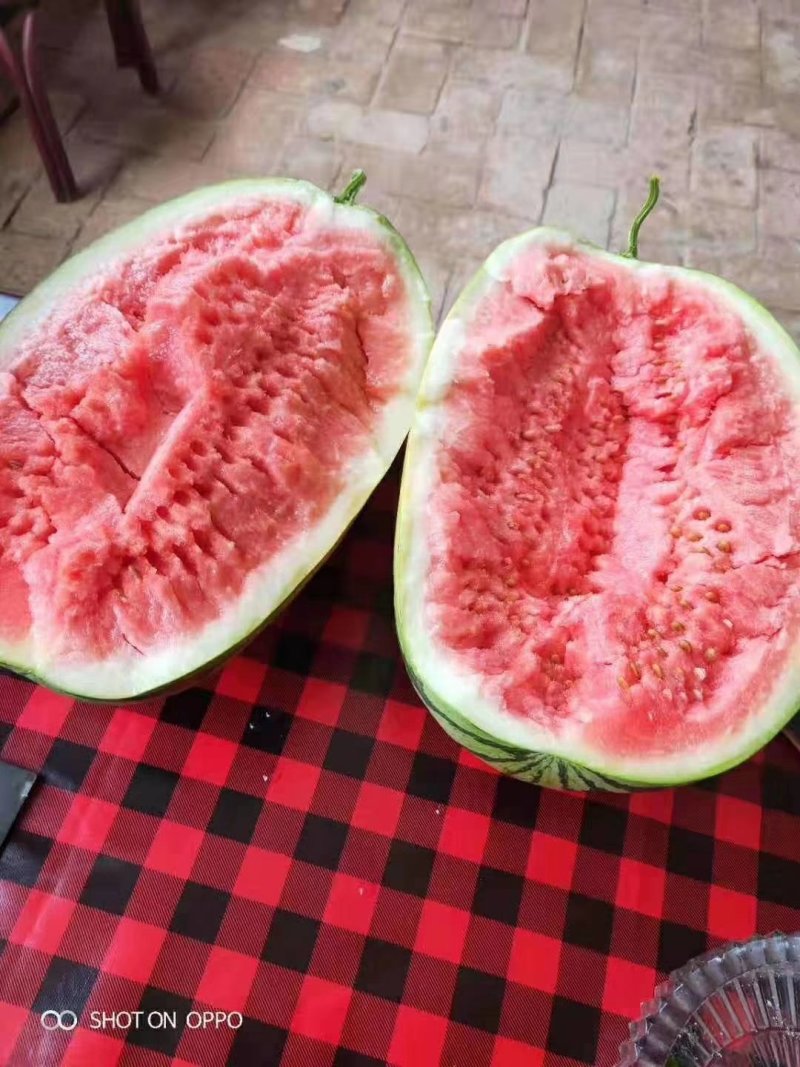 西瓜