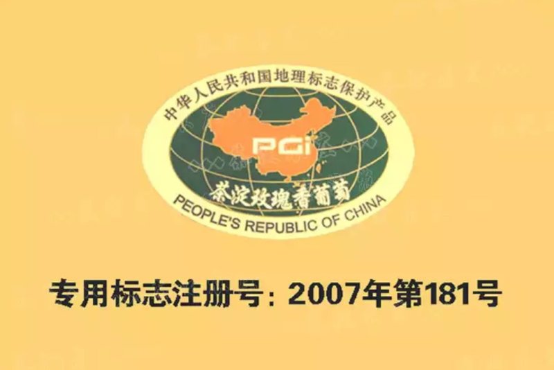 汉沽茶淀玫瑰香葡萄