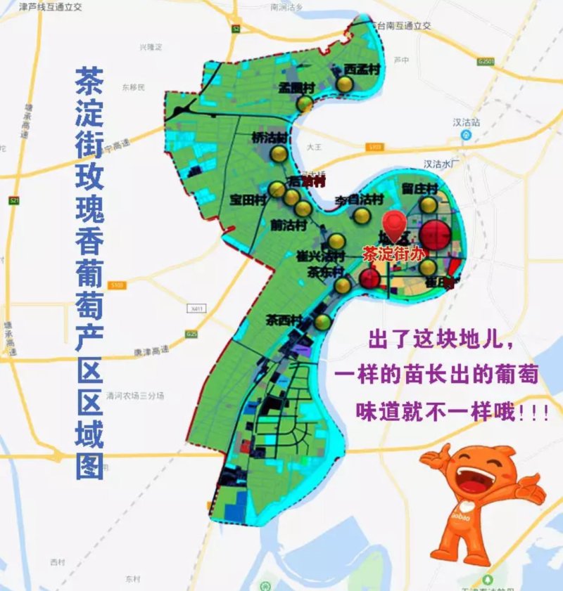 汉沽茶淀玫瑰香葡萄