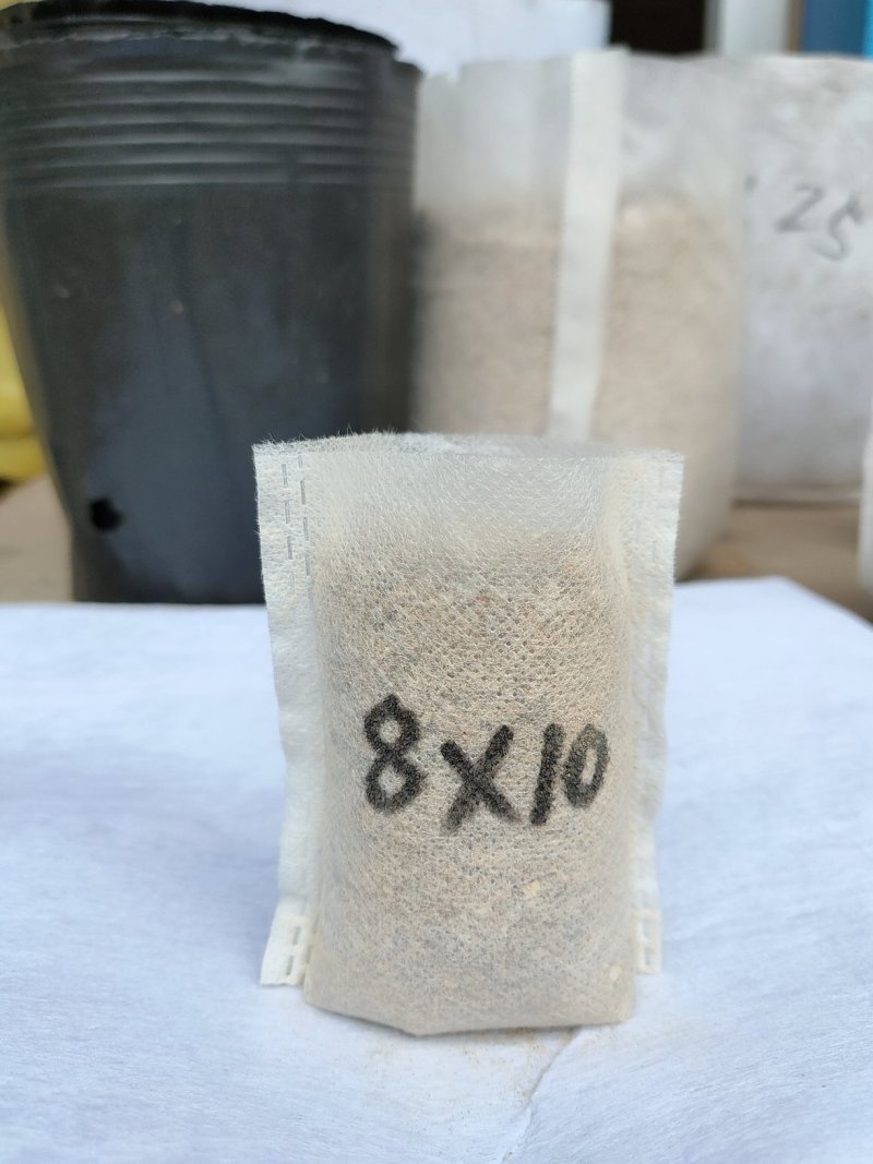 百香果苗育苗袋..真正厂家