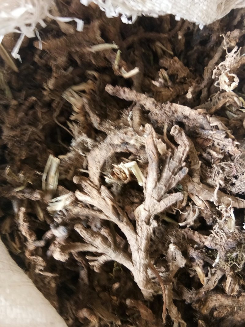 石菖蒲统货纯野生非人工种植野生货源，药用价值高