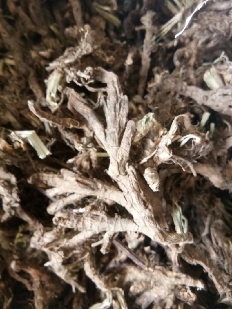 石菖蒲统货纯野生非人工种植野生货源，药用价值高