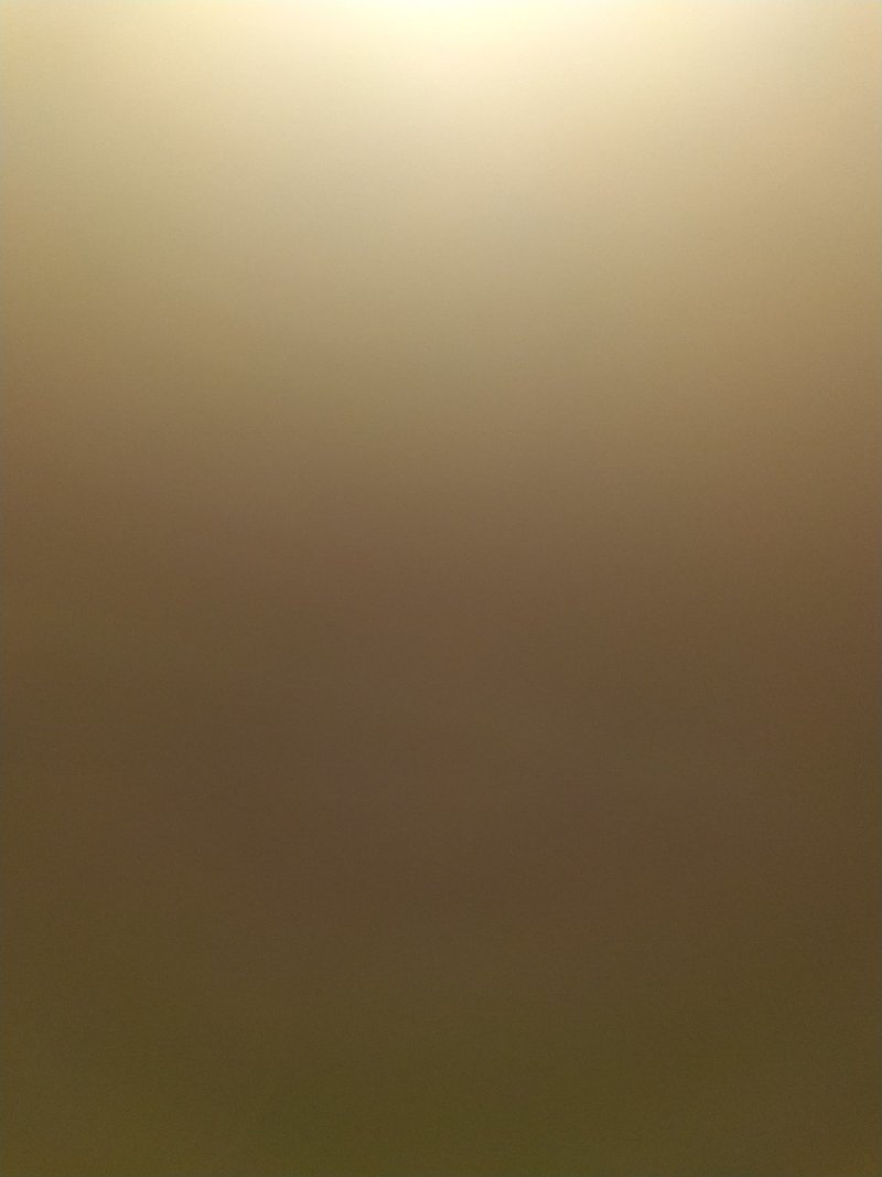 夏黑葡萄