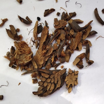 贯众统货看规格下单绵贯众一件代发1000克起