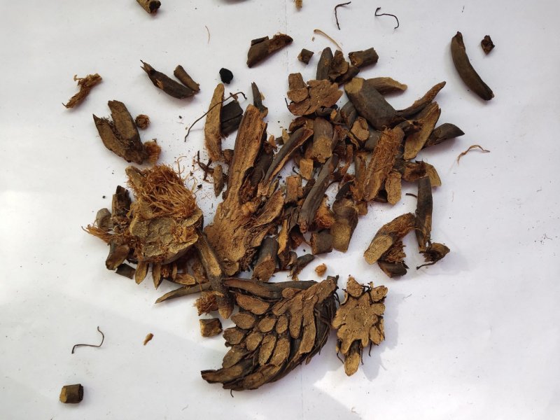贯众统货看规格下单绵贯众一件代发1000克起