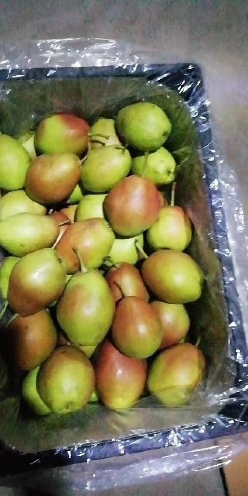 【热卖推荐】陕西精品红香酥梨口感酥甜产地价格批发大吨位供应